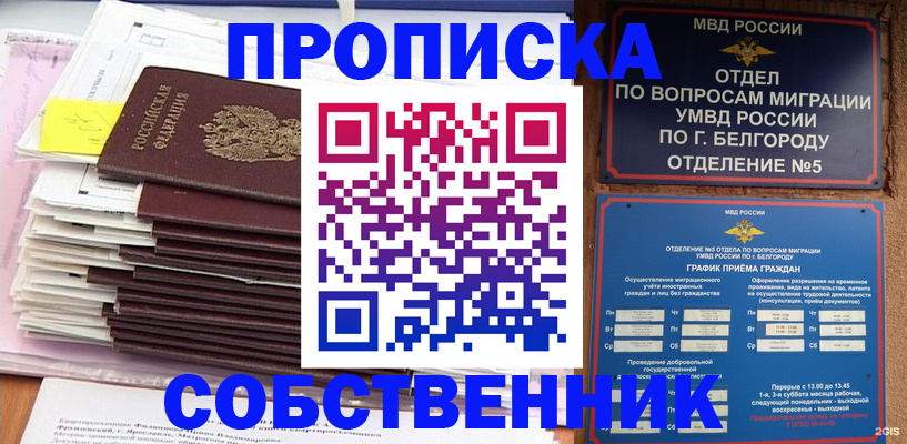 прописка законно в Мурманской области